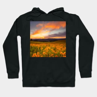 Beautiful landscap flowers and sunset Hoodie